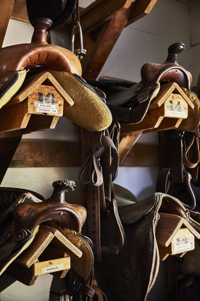 Saddles hanging on a wall, with horses name below each saddle at the on-site stables