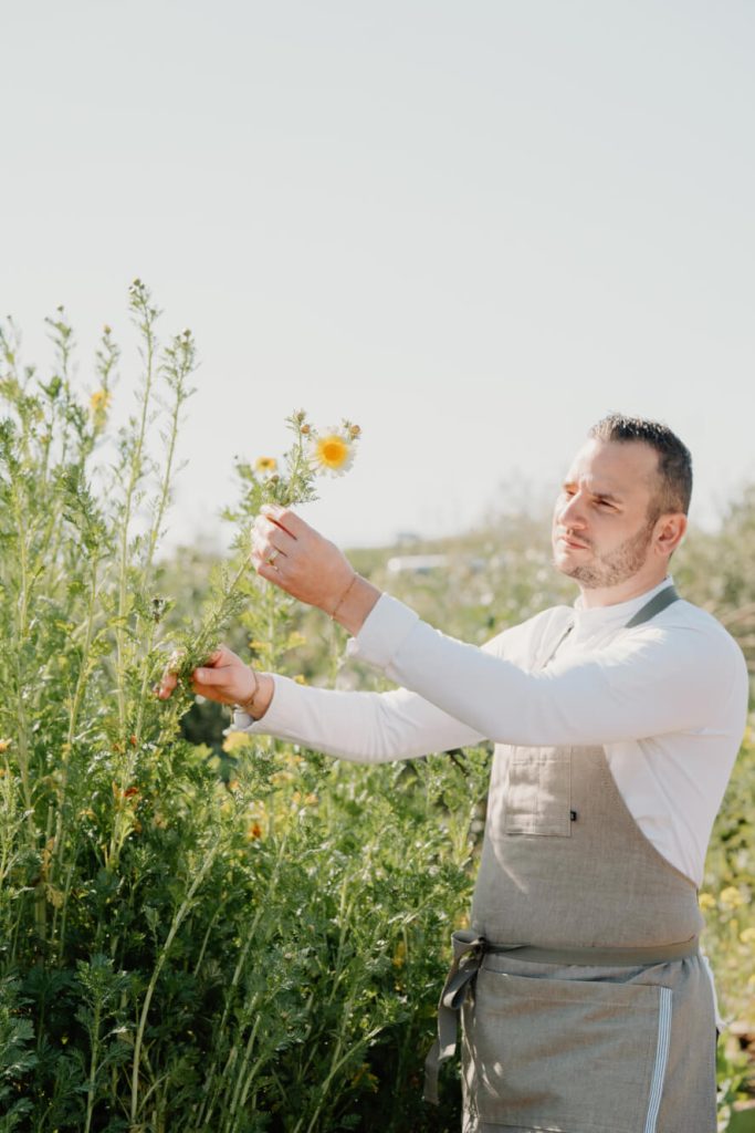Chef Anthony Stagnaro harvesting herbs