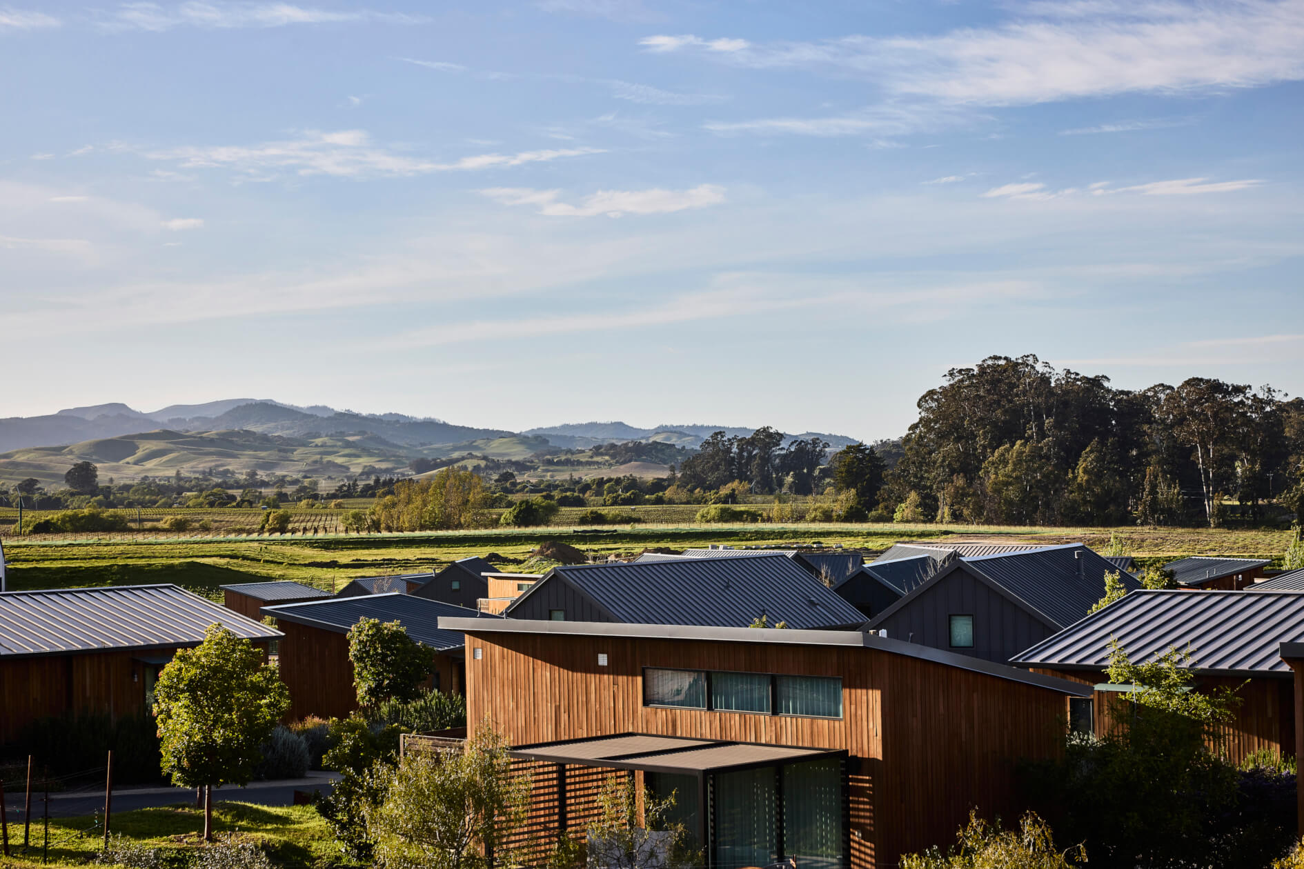 Ratner & Rothberg's Wedding at Stanly Ranch, Napa Valley