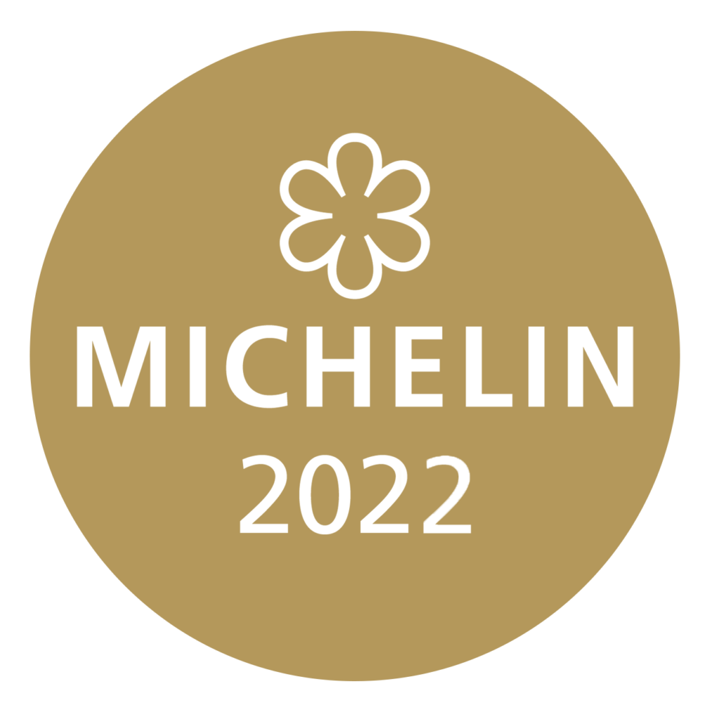 michelin logo 2022