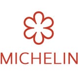 michelin logo