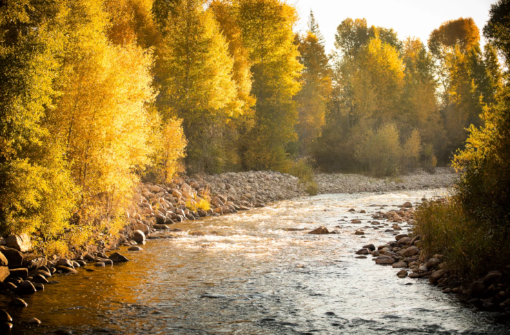 Luxury Fly Fishing Vacations in Utah - The Lodge at Blue Sky