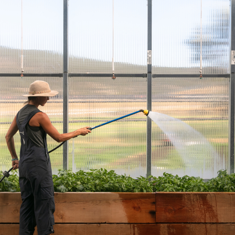 Farming Director Lynsey