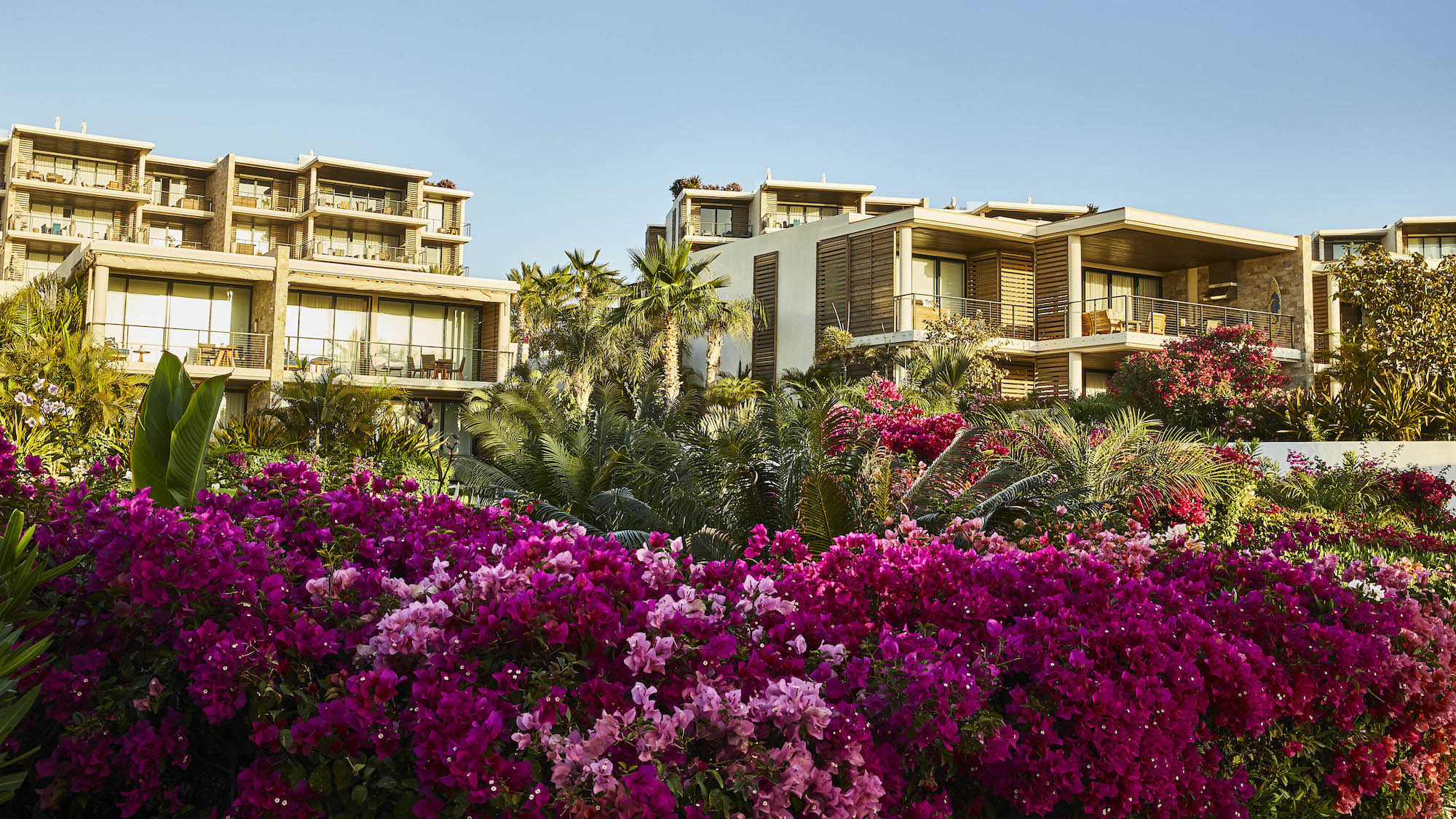 Chileno Bay Resort & Residences, Auberge Collection in Mexico