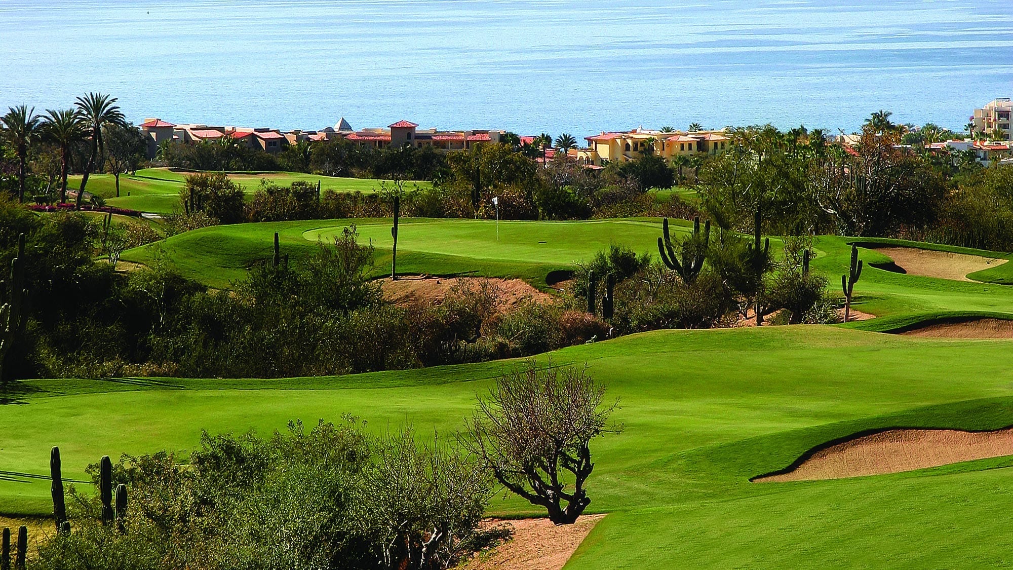 Golf Championship Courses Overlooking The Sea Of Cortez Experiences