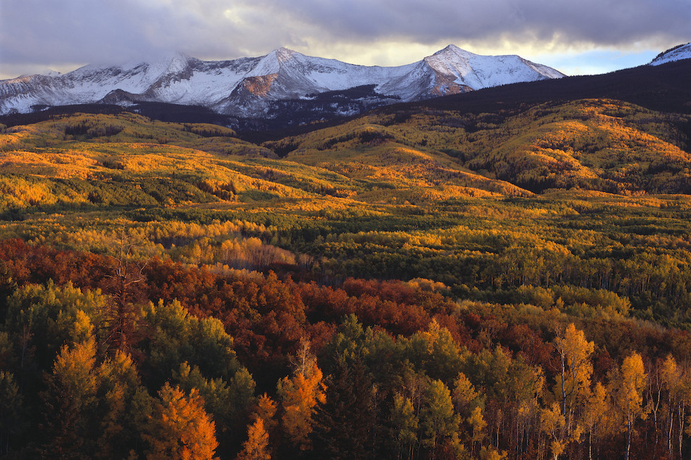 Hotel Jerome | Aspen, Colorado Luxury Hotel - Auberge Resorts