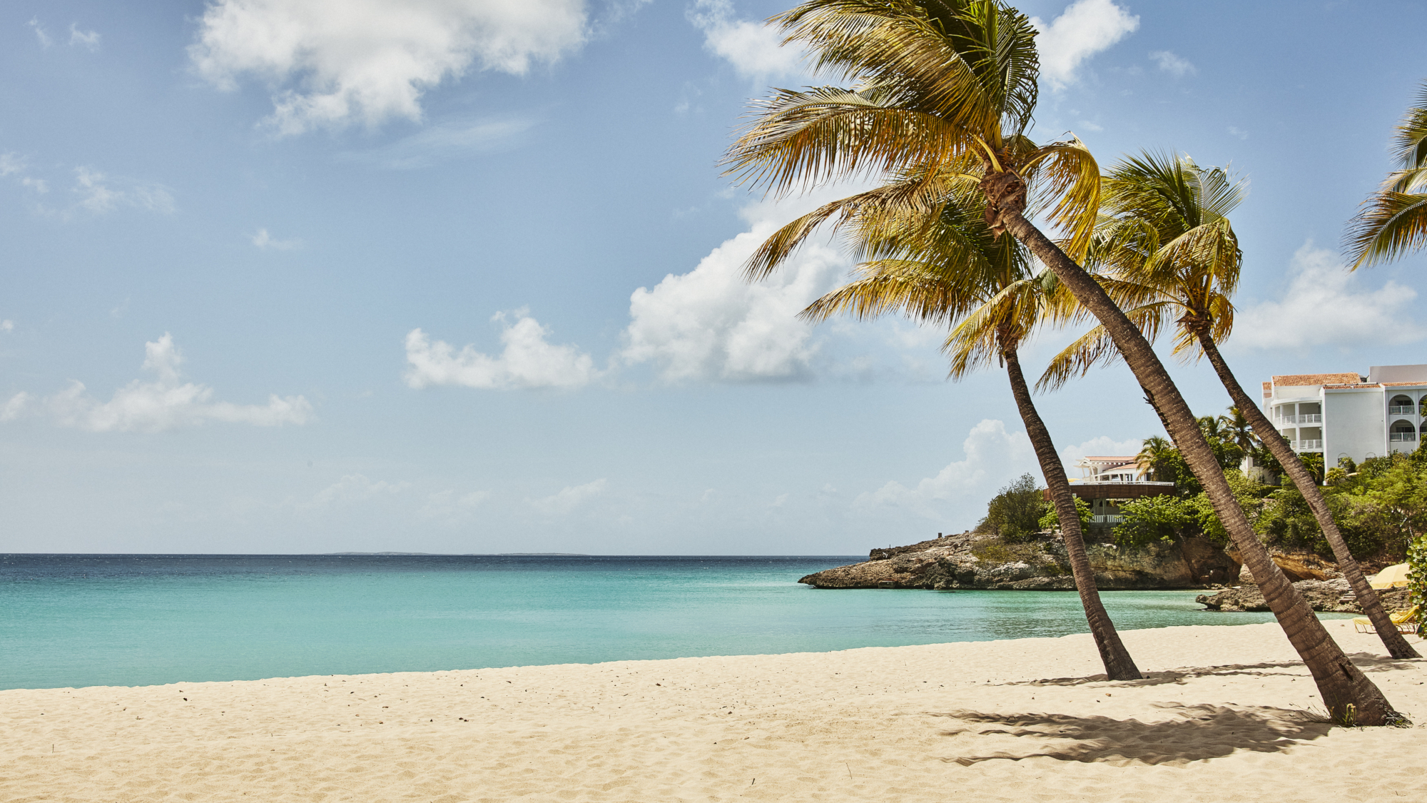 https://dreffui1gbt6t.cloudfront.net/images/mal/mal-gal-resort-palms-sunny-land.jpg