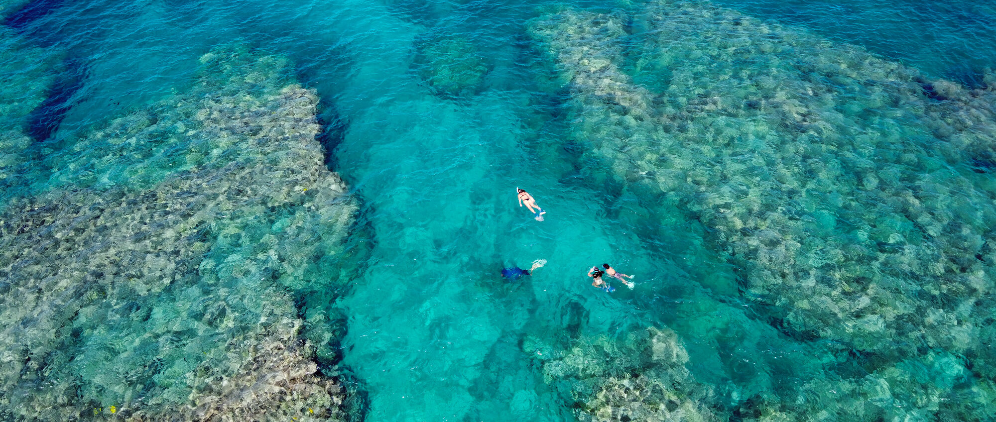 Snorkeling | Ocean Sports at Mauna Lani, Hawaii