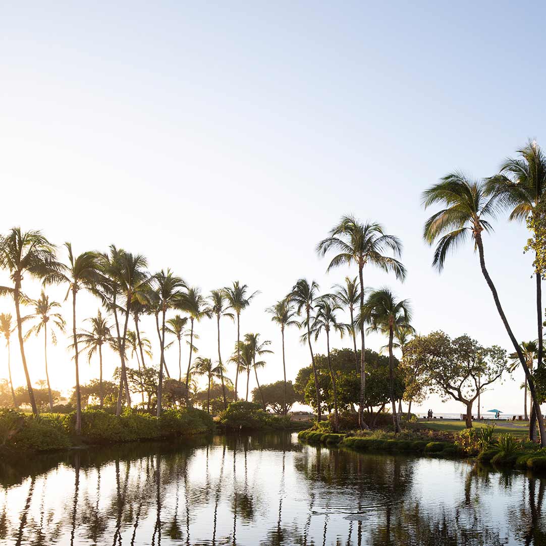 Walking Tours Culture at Mauna Lani, Hawaii