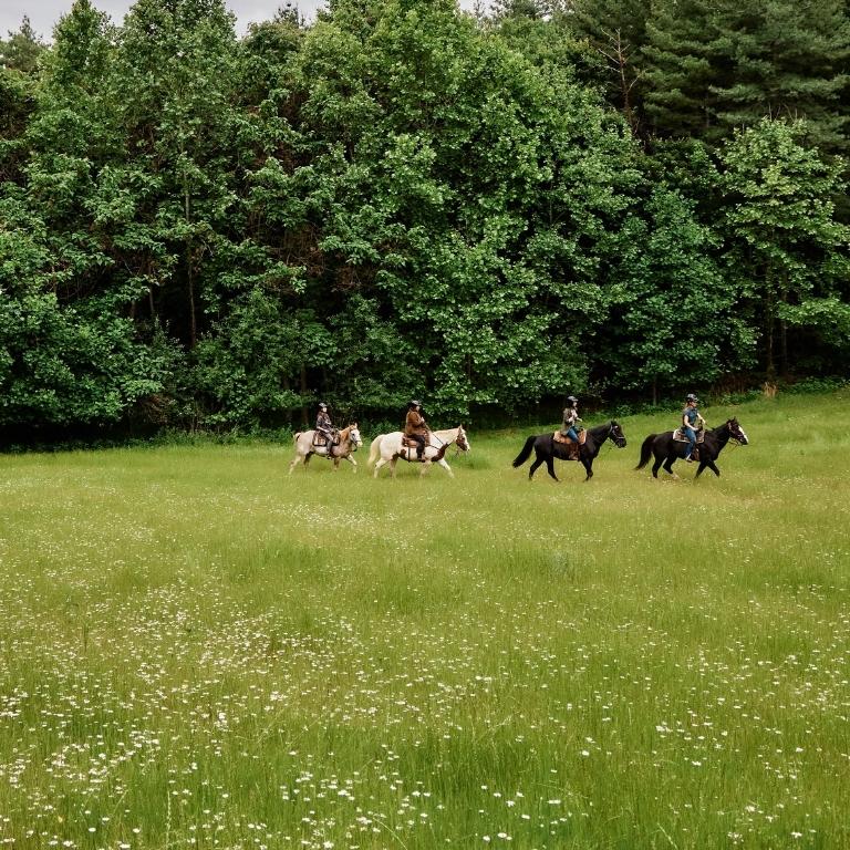 Saddle up for a Mounted Adventure on Forested Trails - Primland