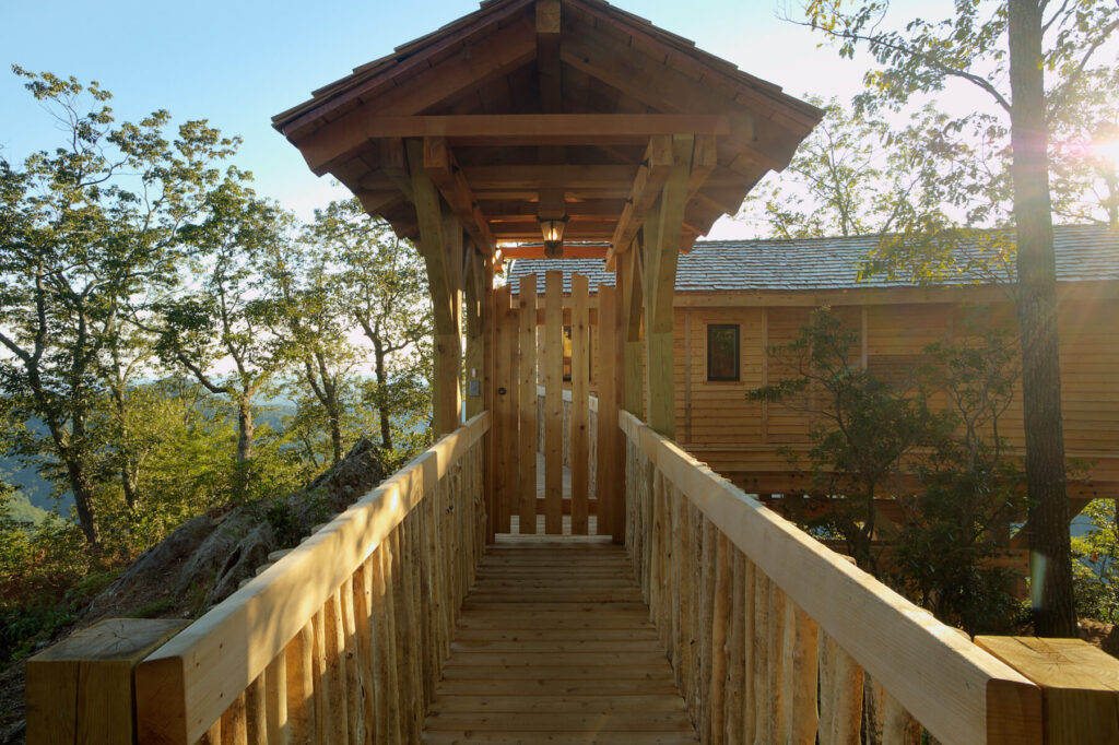 Cooper's Hawk Primland
