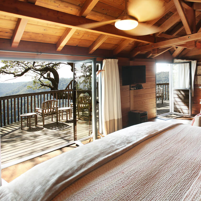 Cooper's Hawk Primland