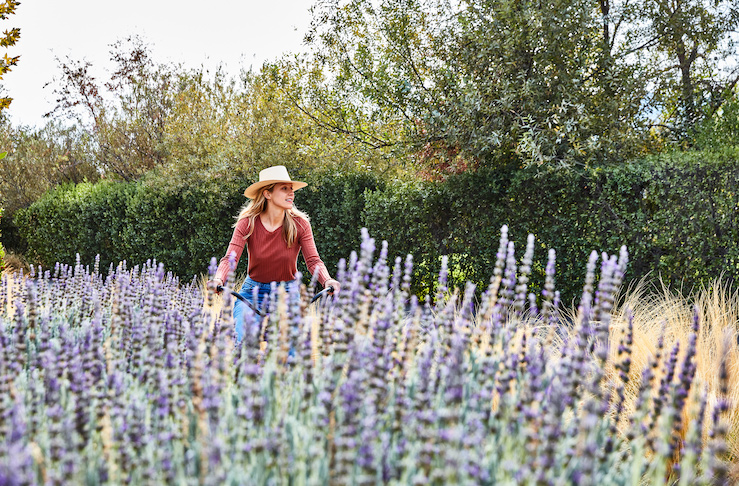 Woman biking on trails at Solage next to lavender plants