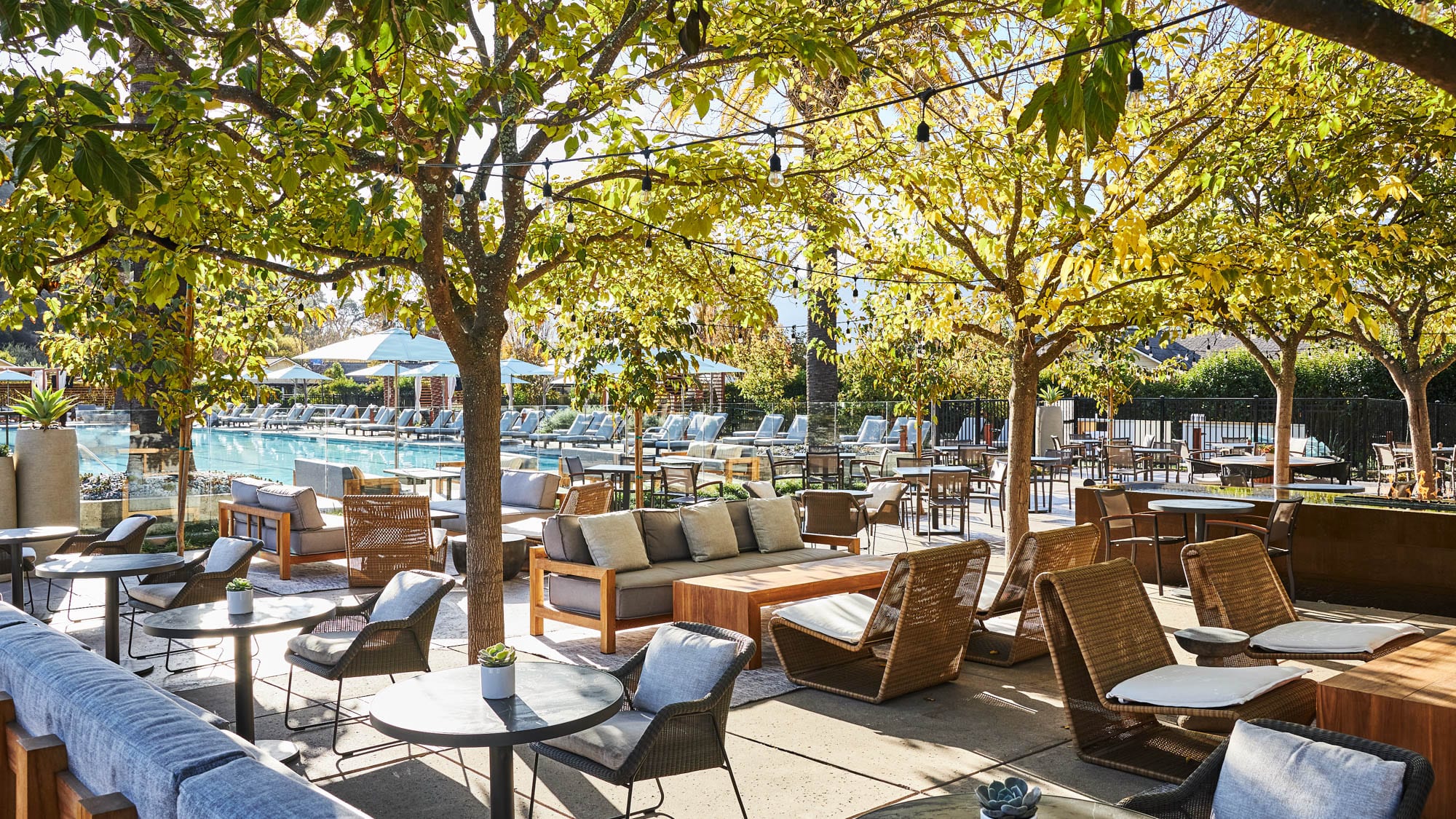 Dine at Solage Resort & Spa Restaurant in Napa Valley, California