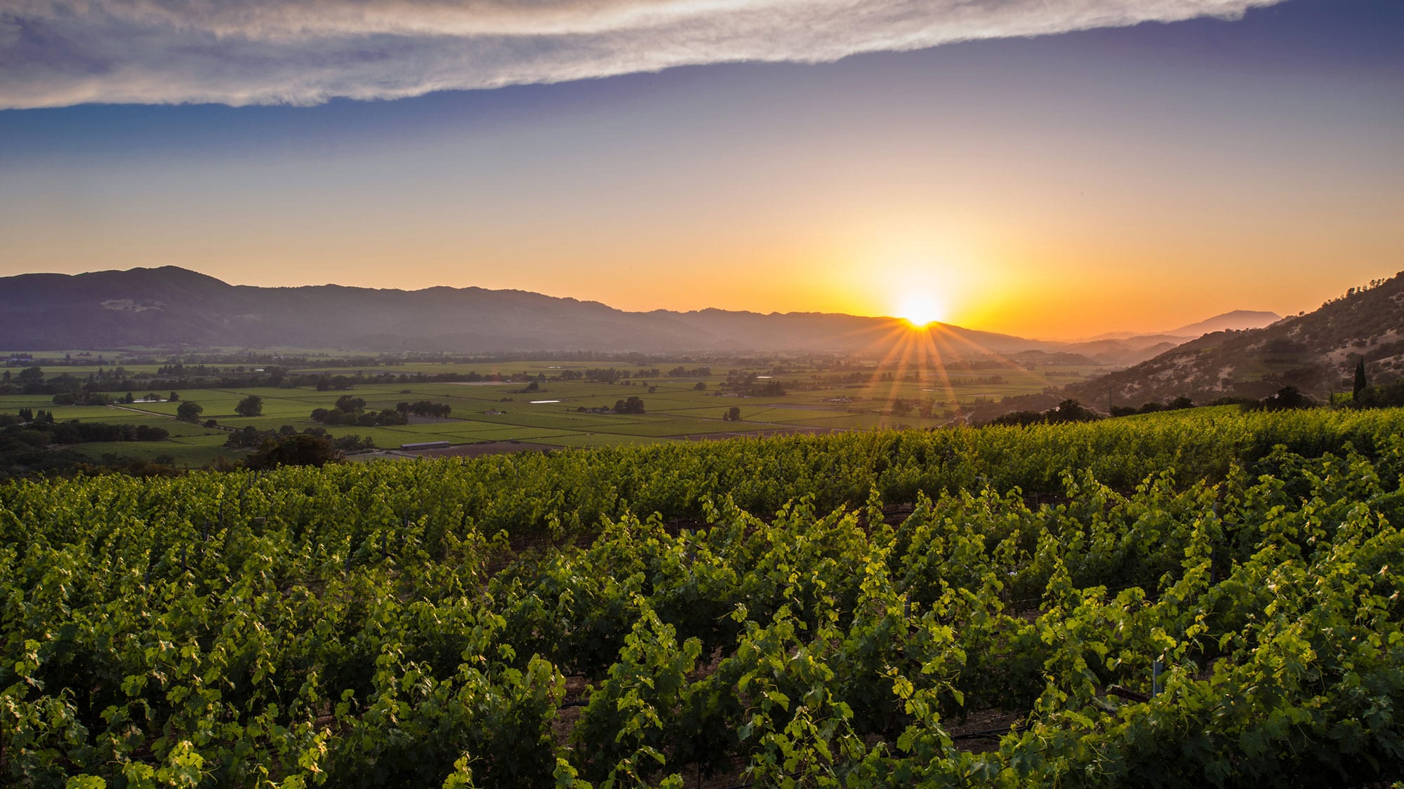 Stanly Ranch, Napa Valley California, Auberge Resorts Collection