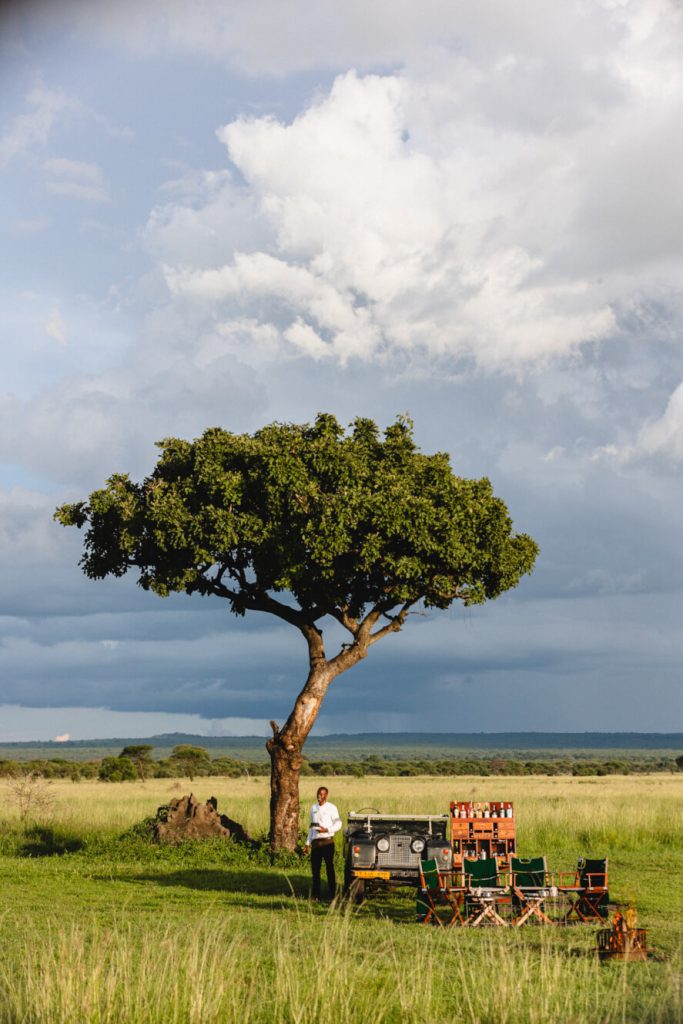 man preparing outdoor luncheon