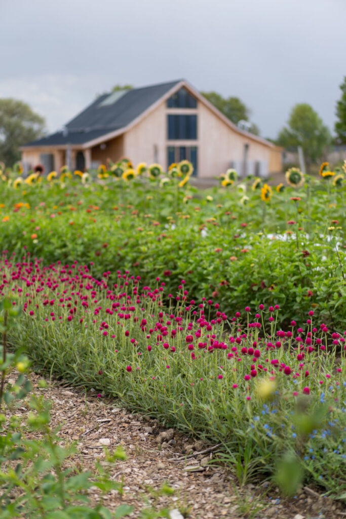 Resort Wildflower Farms